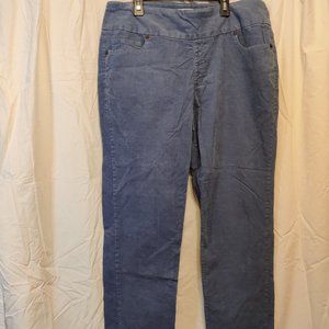 Coldwater Creek Pants size 12T